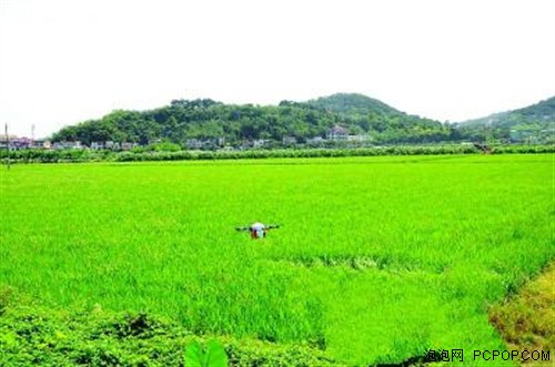 中山:无人机喷农药 两小时搞定百亩