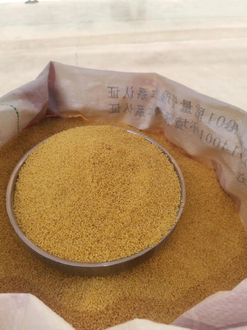 自己家种的黄谷子新小米,天然不打农药,要了可以联系.1873